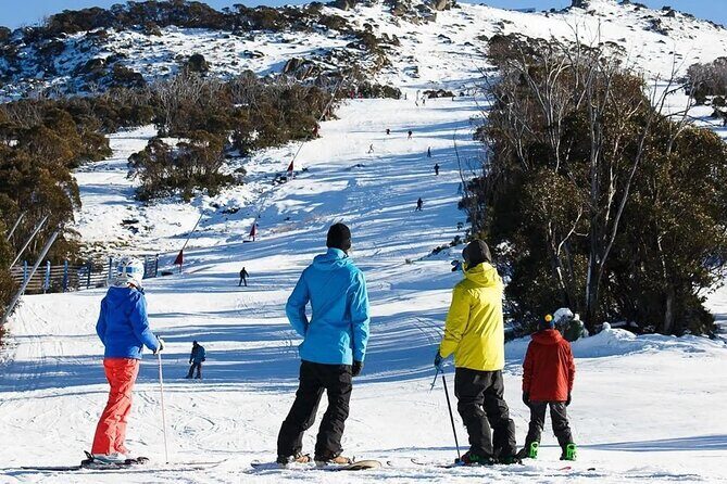 Day Trip To Snowy Mountains From Sydney - Who Will Enjoy This Tour?