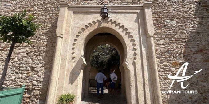 Day Trip to Tangier Morocco From Torremolinos All Inclusive - Departure and Return Logistics