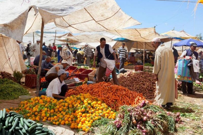 Day Trip to the Atlas Mountains and 5 Valleys From Marrakech - Culinary Experience