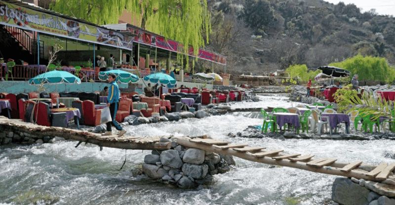 Day Trip to the Atlas Mountains Ourika Valley and Waterfalls - Itinerary Highlights