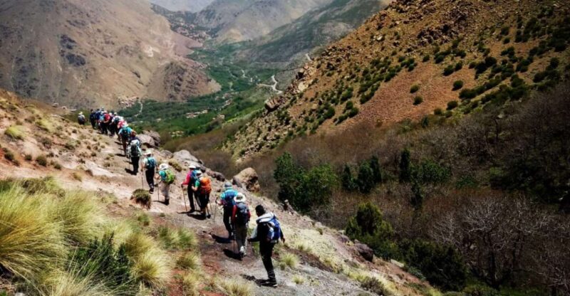 Day Trip to the Berber Villages and Camel Ride - Explore Tahnaout, Asni, and Imlil