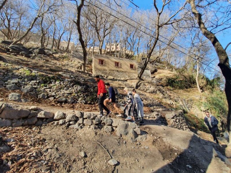 Day Trip to the Berber Villages and Camel Ride - Guided Hike Through Stunning Landscapes