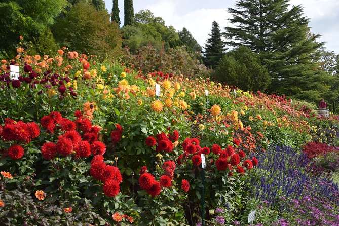 Day Trip to the Island of Mainau With Highlights on Lake Constance From / to Oberstaufen - Tour Itinerary Details