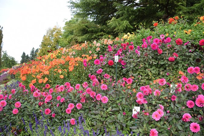 Day Trip to the Island of Mainau With Highlights on Lake Constance From / to Oberstaufen - Tips for a Great Experience