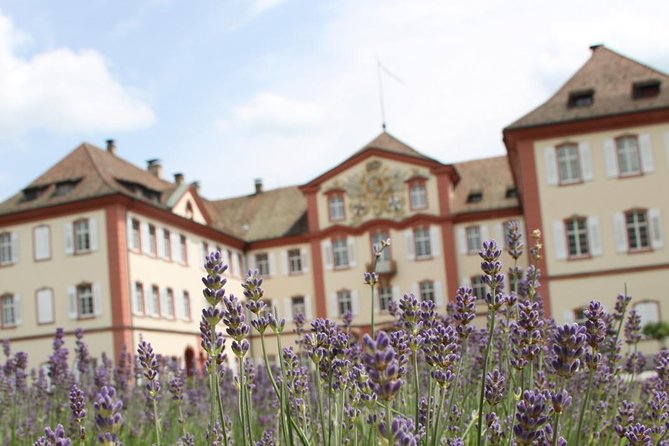 Day Trip to the Island of Mainau With Highlights on Lake Constance From / to Oberstaufen - How to Get to Oberstaufen
