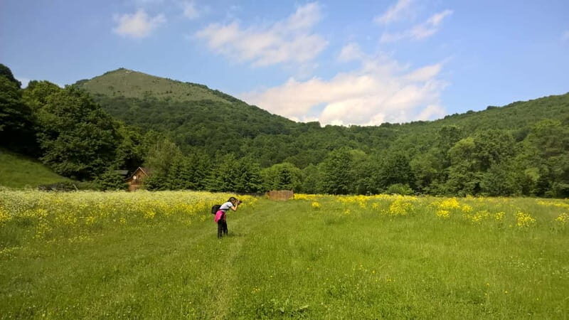 Day Trip to the Land of Hidden Caves - Frequently Asked Questions