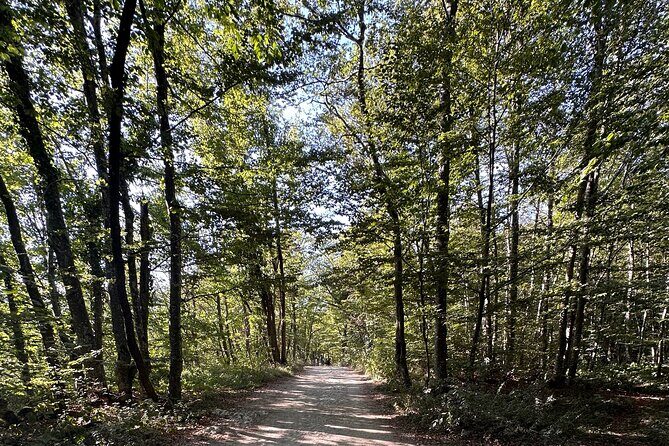 Day trip to the Plitvice Lakes incl. admission and lunch - The Experience from the Traveler’s Perspective