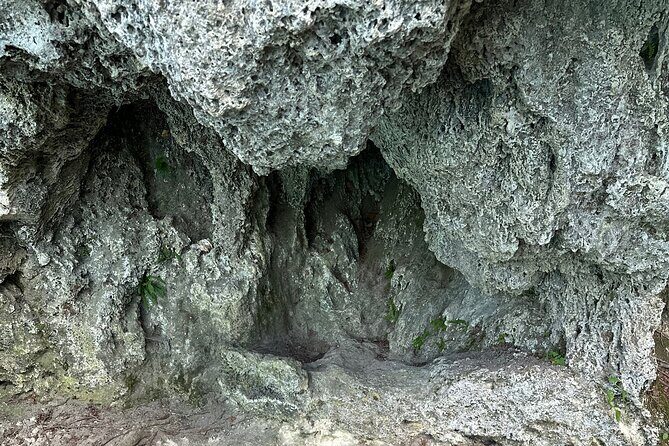 Day trip to the Plitvice Lakes incl. admission and lunch - Practical Details You Need to Know