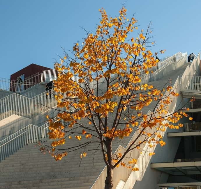 Day trip to Tirana & Kruja - FAQ