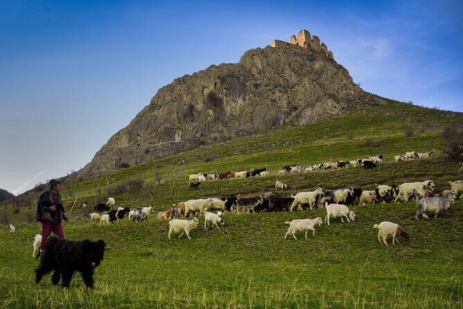 Day Trip To Turda Salt Mine, Rimetea Village & Coltesti Fortress - Authentic Experiences and Review Highlights