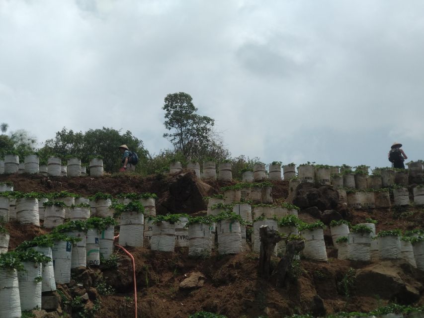 Day Trip to White Crater in Ciwidey, Bandung - All Inclusive With Tour Guide - Itinerary Highlights