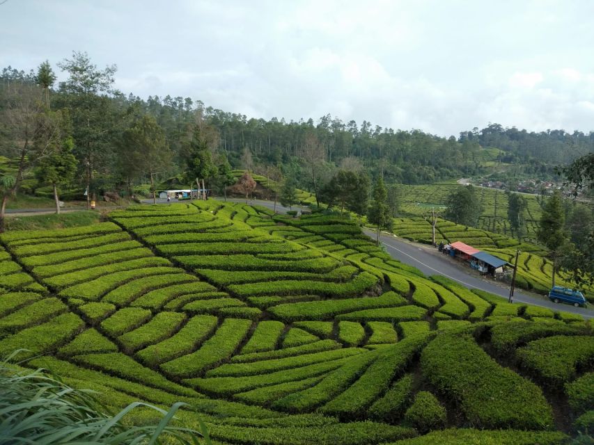 Day Trip to White Crater in Ciwidey, Bandung - All Inclusive With Tour Guide - Tour Cost
