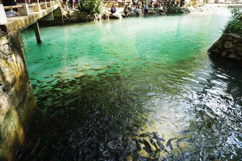 Day Trip Vientiane - VangVieng by Express Train - FAQ