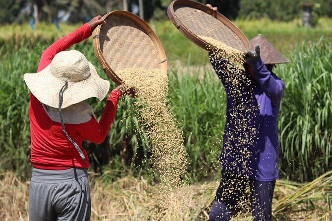 Day With a Balinese Family in a Village - Activities Included in the Tour