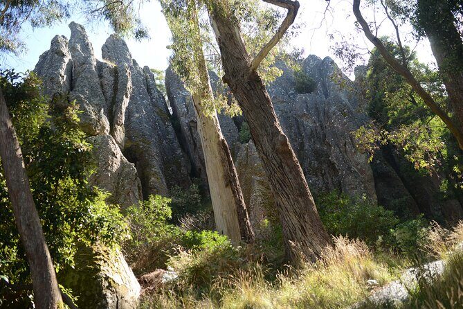 Daylesford Goldfields Track Walking and Wellness Experience - Key Points