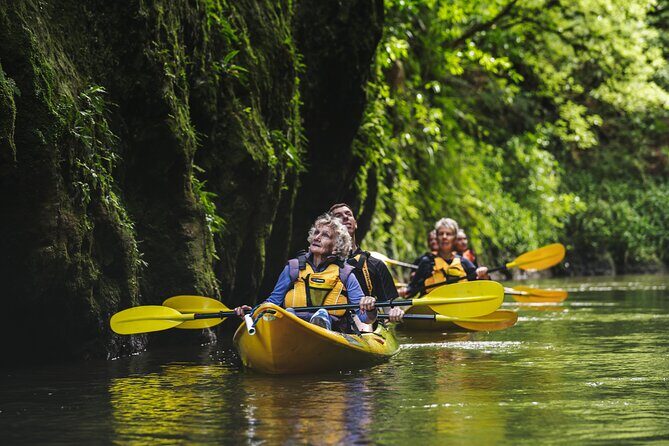 Daytime Canyon Kayak Tour - A Closer Look at the Tour Experience