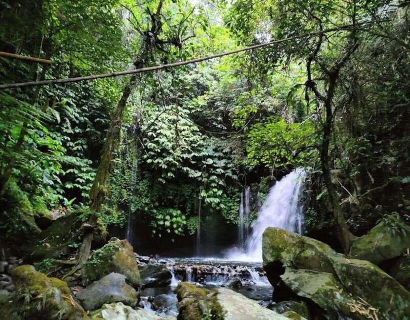 daytrip: sangeh monkey,jati luwih,yeh ho waterfalls - An In-Depth Look at the Tour Experience