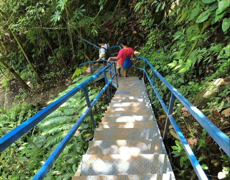 daytrip: sangeh monkey,jati luwih,yeh ho waterfalls - Why This Tour Is a Great Choice