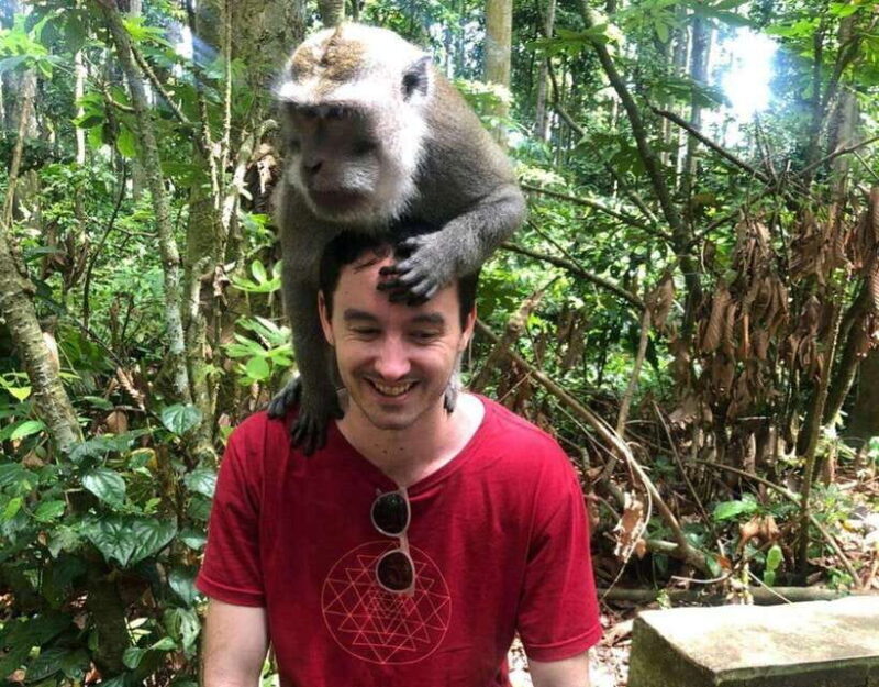 daytrip: sangeh monkey,jati luwih,yeh ho waterfalls - Final Thoughts: Is It Worth It?