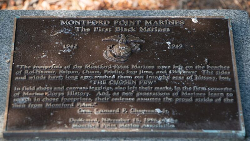 DC: Arlington National Cemetery Guided Walking Tour - Experience Overview and What to Expect