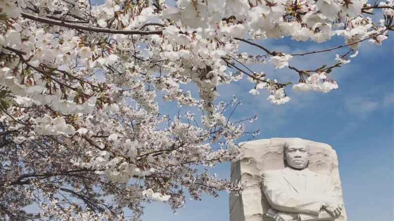 DC: Cherry Blossoms & Tidal Basin Memorials Walking Tour - Practical Details and Value