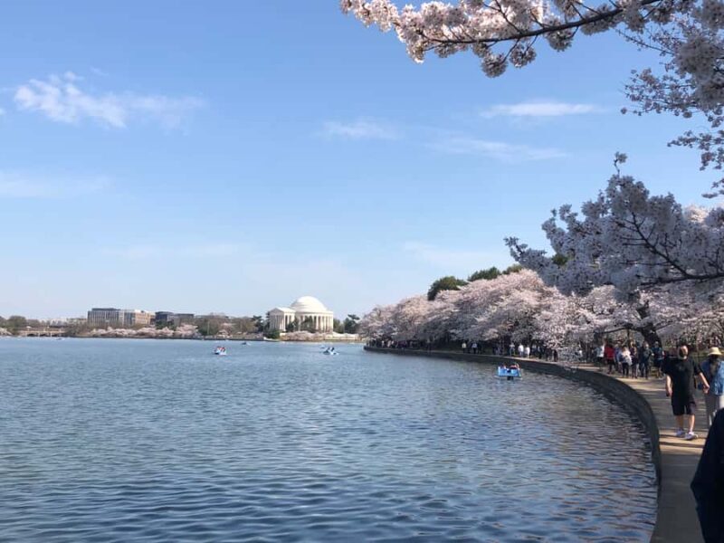 DC: Cherry Blossoms & Tidal Basin Memorials Walking Tour - The Sum Up: Who Will Love This Tour?