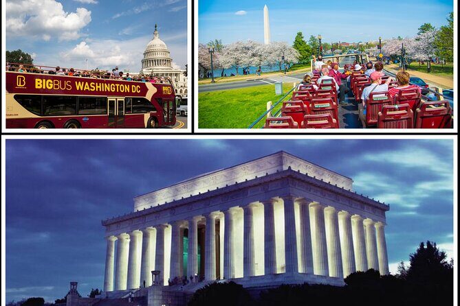 DC: Hop-on Hop-off Bus, Arlington Walking Tour, and Night Tour - The Big Bus Experience: A Practical Overview