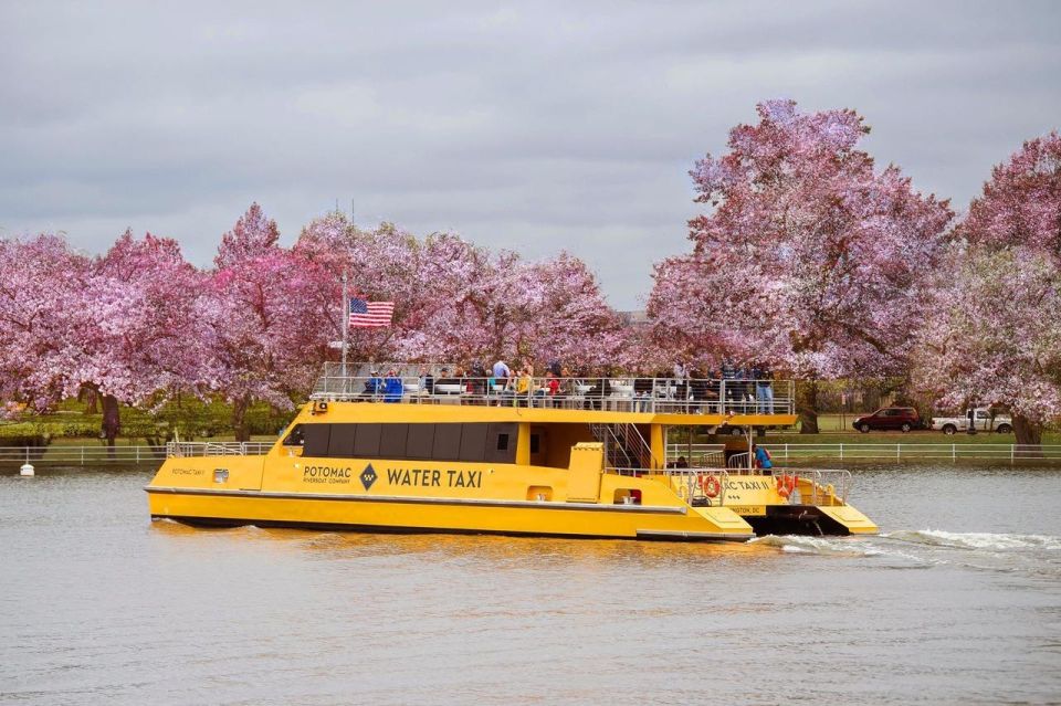 DC: Hop-on Hop-off Bus Tour & Sightseeing Water Taxi Cruise - National Mall and Monuments