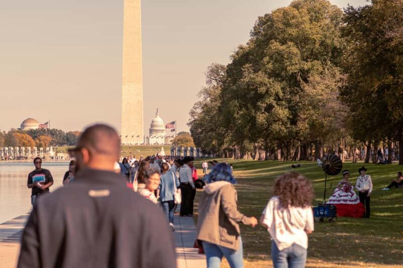 DC Kenwood Cherry Blossoms Half-Day Tour Small Group Max 12 - A Detailed Look at the Tour Experience
