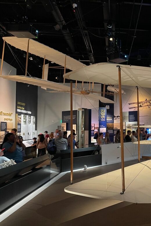 DC: Smithsonian Highlights Walking Tour with Air and Space - What the Tour Covers