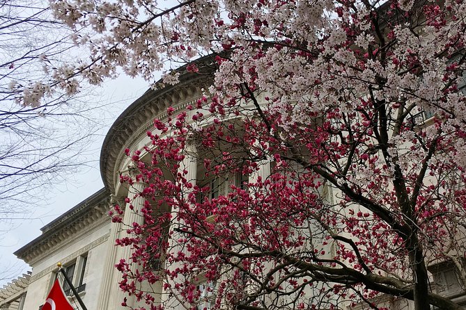 DCs Dupont Circle & Embassy Row Architecture Walking Tour - Pricing and Booking