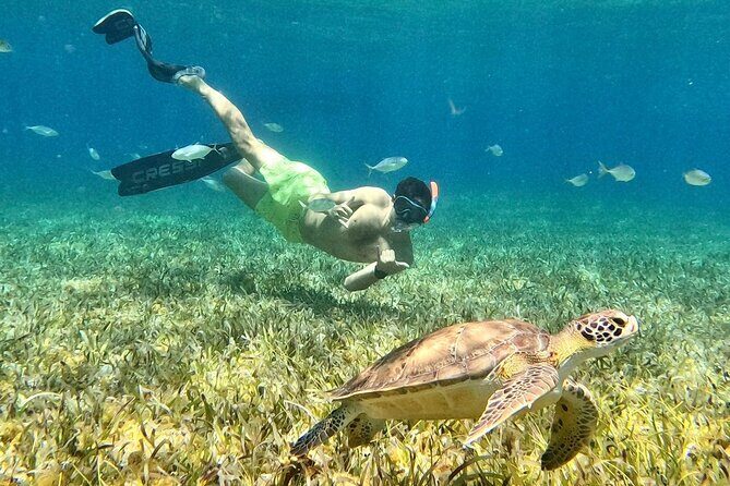 De Antonio D28 - Private Boat Tour (SEVEN MARES) - Why Choose the De Antonio D28 Private Boat Tour?