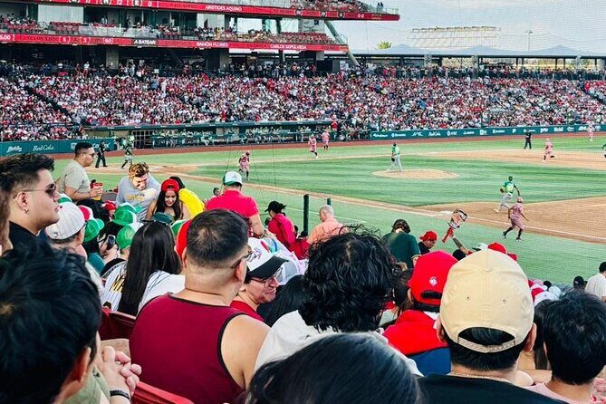 DE DE Baseball match day experience in DE Mexico City - Who Should Consider This Tour?