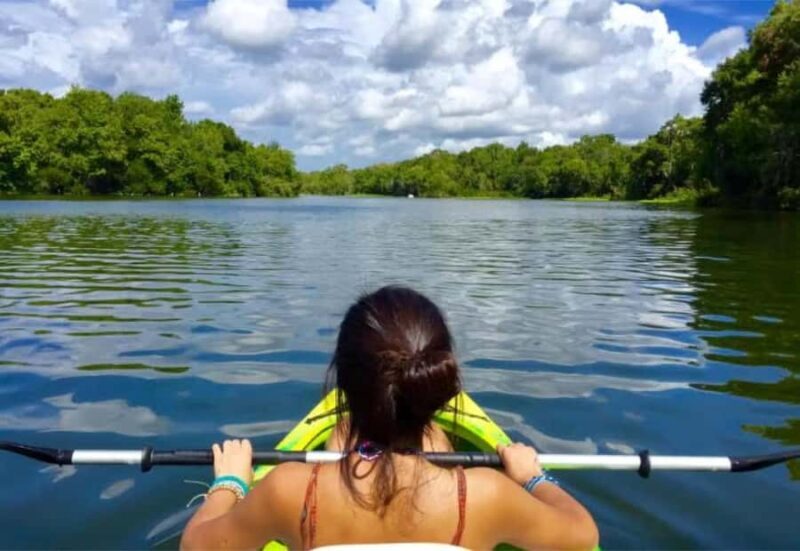 De Leon Springs: State Park Guided Kayak Tour - Key Points
