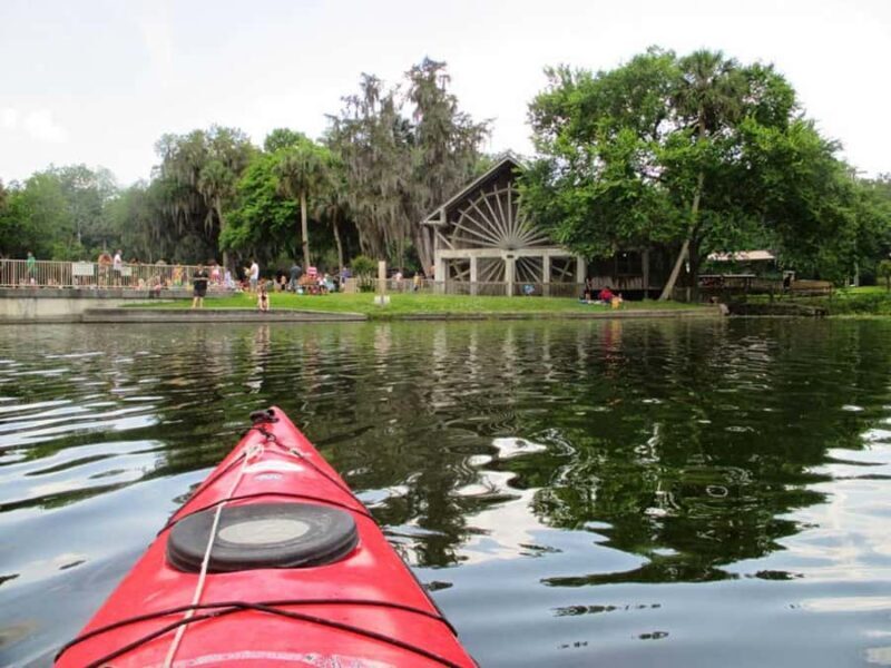 De Leon Springs: State Park Guided Kayak Tour - Tour Logistics: Practical Details