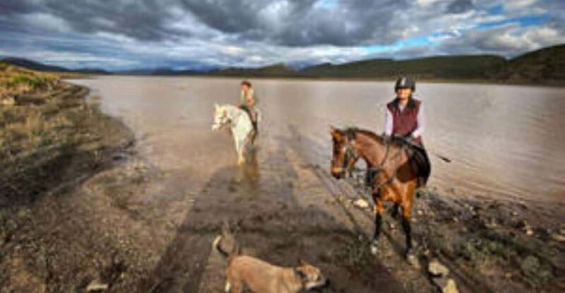 Rust Stomp De Rust: Stompdrift Trail - Horse Riding Experience | Travel Buddies