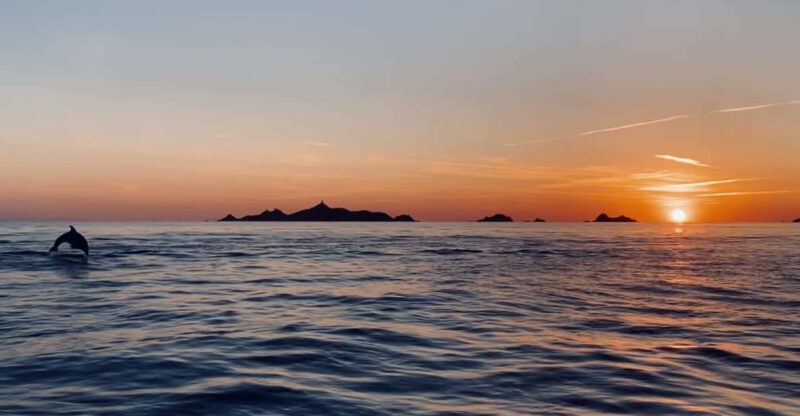 De Sagone/Cargèse: Scandola Piana Sunset Apéritif Snorkeling - Key Points