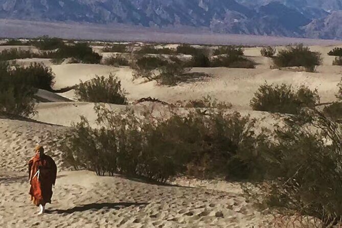 Death Valley Small Group Luxury SUV Day Tour - Why This Tour Is a Solid Choice