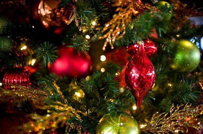 December Nights Dinner Cruise on San Diego Bay - Value and Pricing