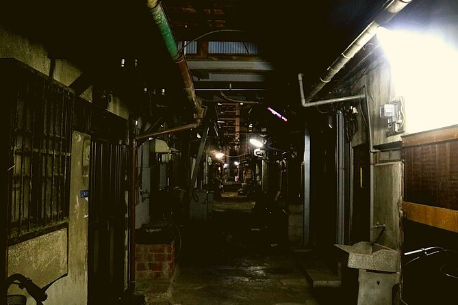 Deep Backstreet Osaka Tours - Inclusions