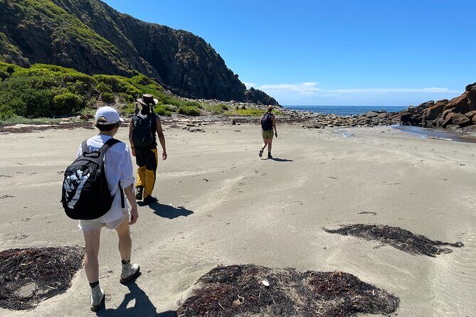 Deep Creek Hike: Trails and Tales with a Foreign Flair - Who Should Consider This Tour?