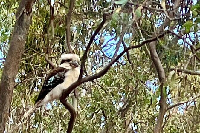 Deep Creek Hike: Trails and Tales with a Foreign Flair - FAQs