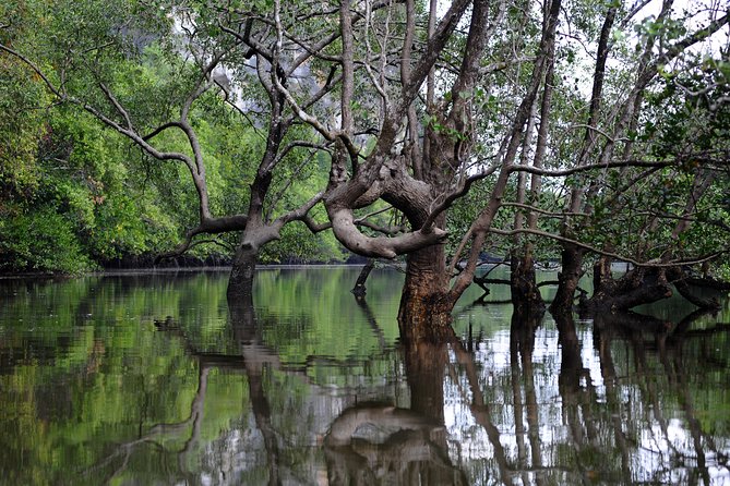 Deep Mangrove and Canyon Kayak Tour in Krabi - Pickup and Duration
