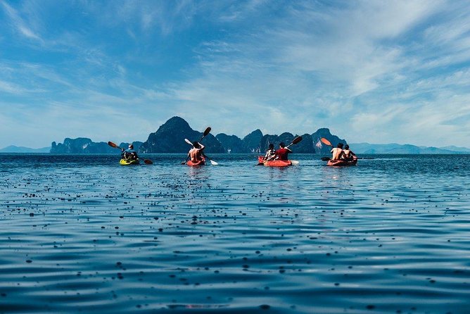 Deep Mangrove and Canyon Kayak Tour in Krabi - Wildlife Spotting