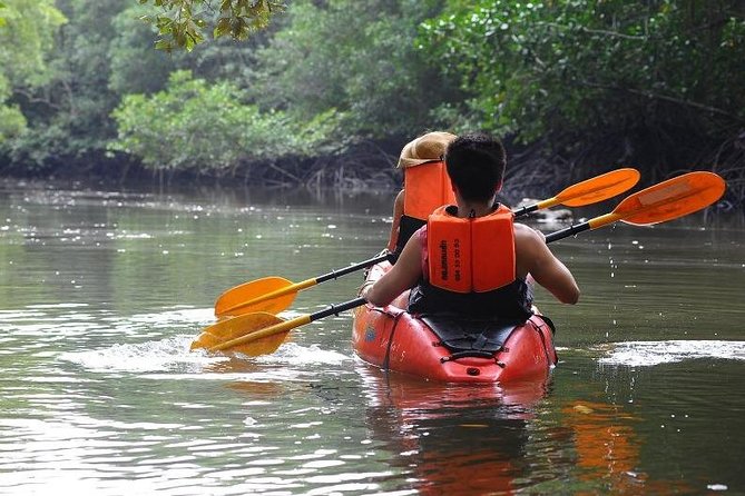 Deep Mangrove and Canyon Kayak Tour in Krabi - Scenic Locations