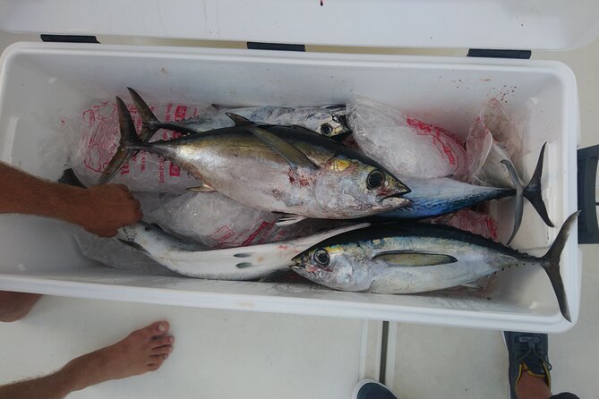 Deep Sea Fishing Half-Day - Target Species Information