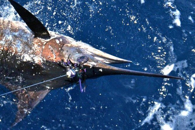 Deep Sea Fishing Private Boat Charter in San Juan - Pricing and Value