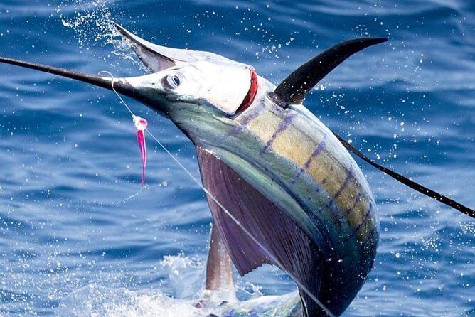 Deep Sea Fishing (Street Food and Beer Included) - Introduction