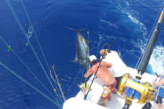 Deep Sea Fishing Tour - Deep Sea Fishing Tour in Punta Cana: An Honest Look