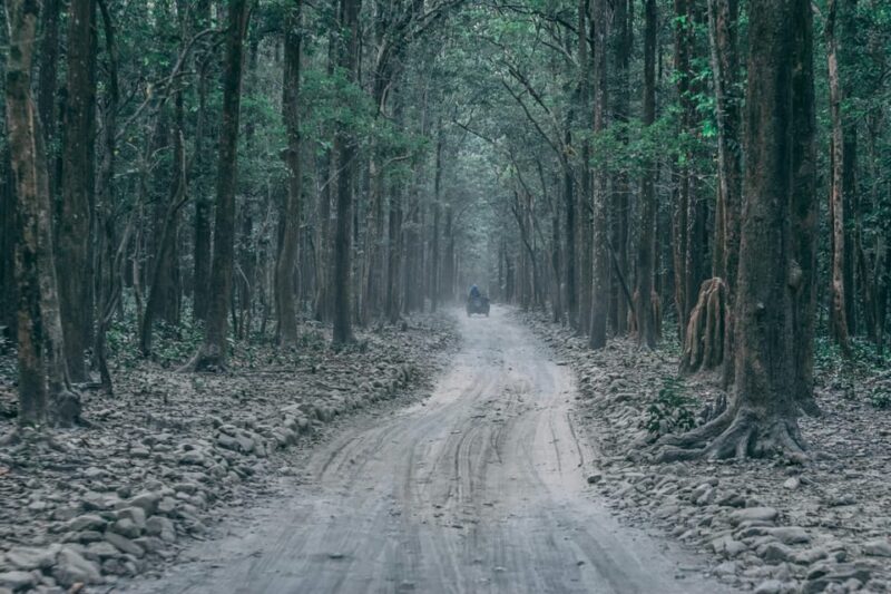 Delhi: 2-Day Jim Corbett Safari Adventure - Tour Overview